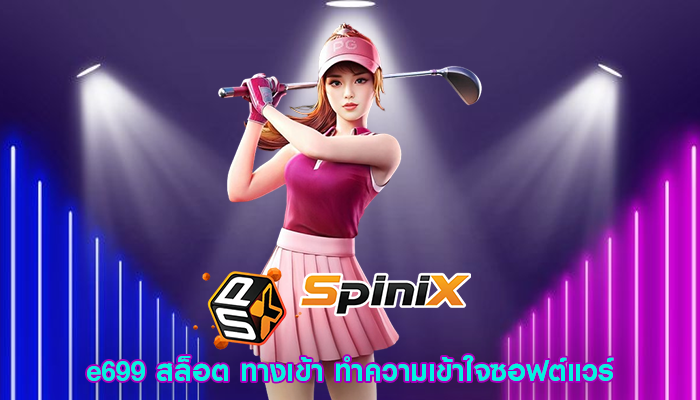 e699 สล็อต ทางเข้า ทำความเข้าใจซอฟต์แวร์